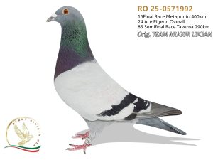 RO-0571992