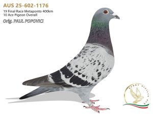 AUS 25-602-1176