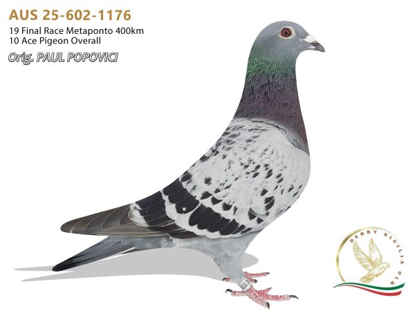 AUS 25-602-1176