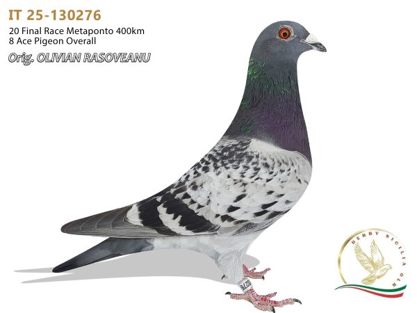 IT 25-130276