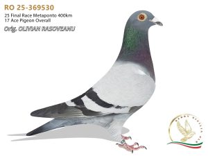 RO 25-369530