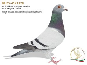 BE 25-4121378