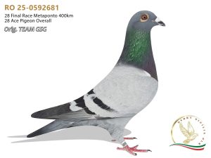 RO 25-0592681