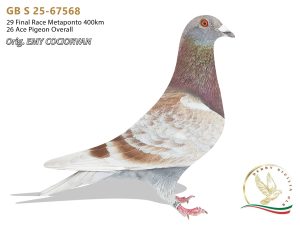 GB S 25-67568