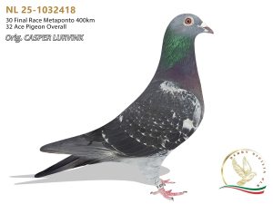 NL 25-1032418