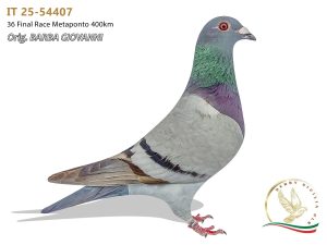 IT 25-54407