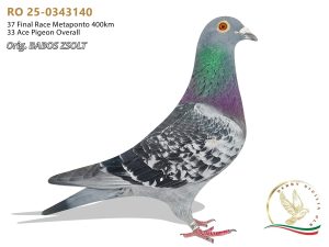 RO 25-0343140