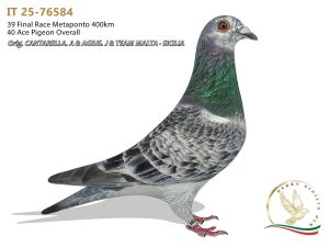 IT 25-76584