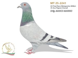 MT 25-2241