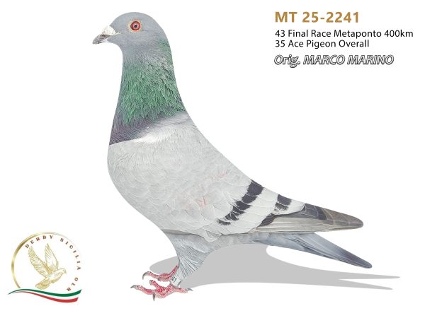 MT 25-2241