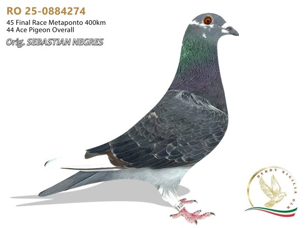 RO 25-0884274
