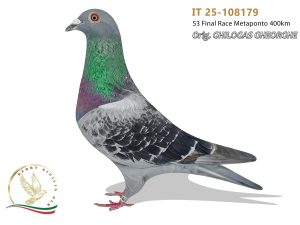 IT 25-108179