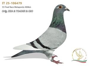 IT 25-106479